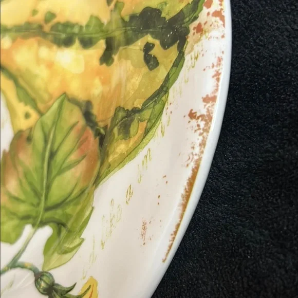 PIER 1  PUMPKIN PATCH SQUASH PLATE - Picture 10 of 11